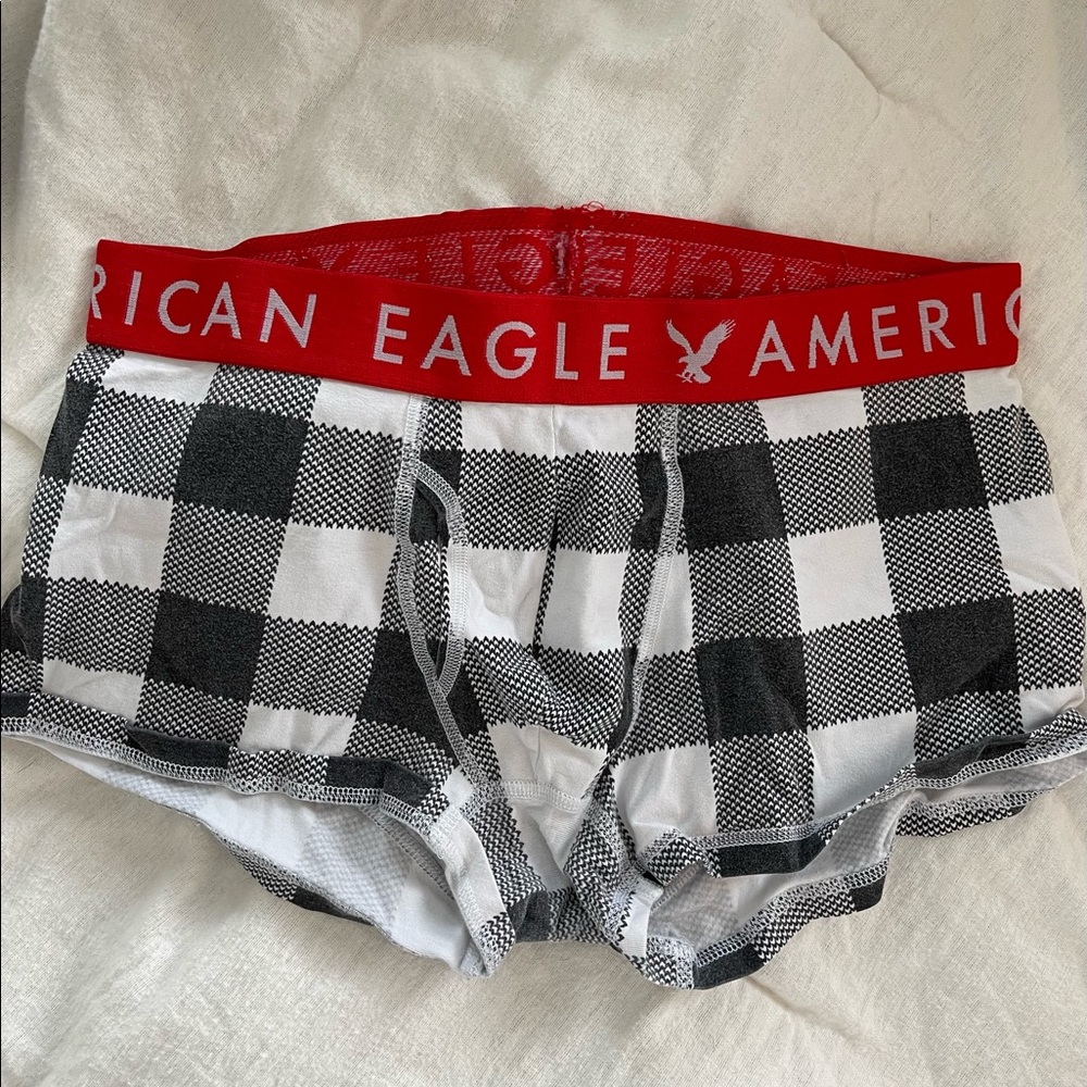 AE briefs